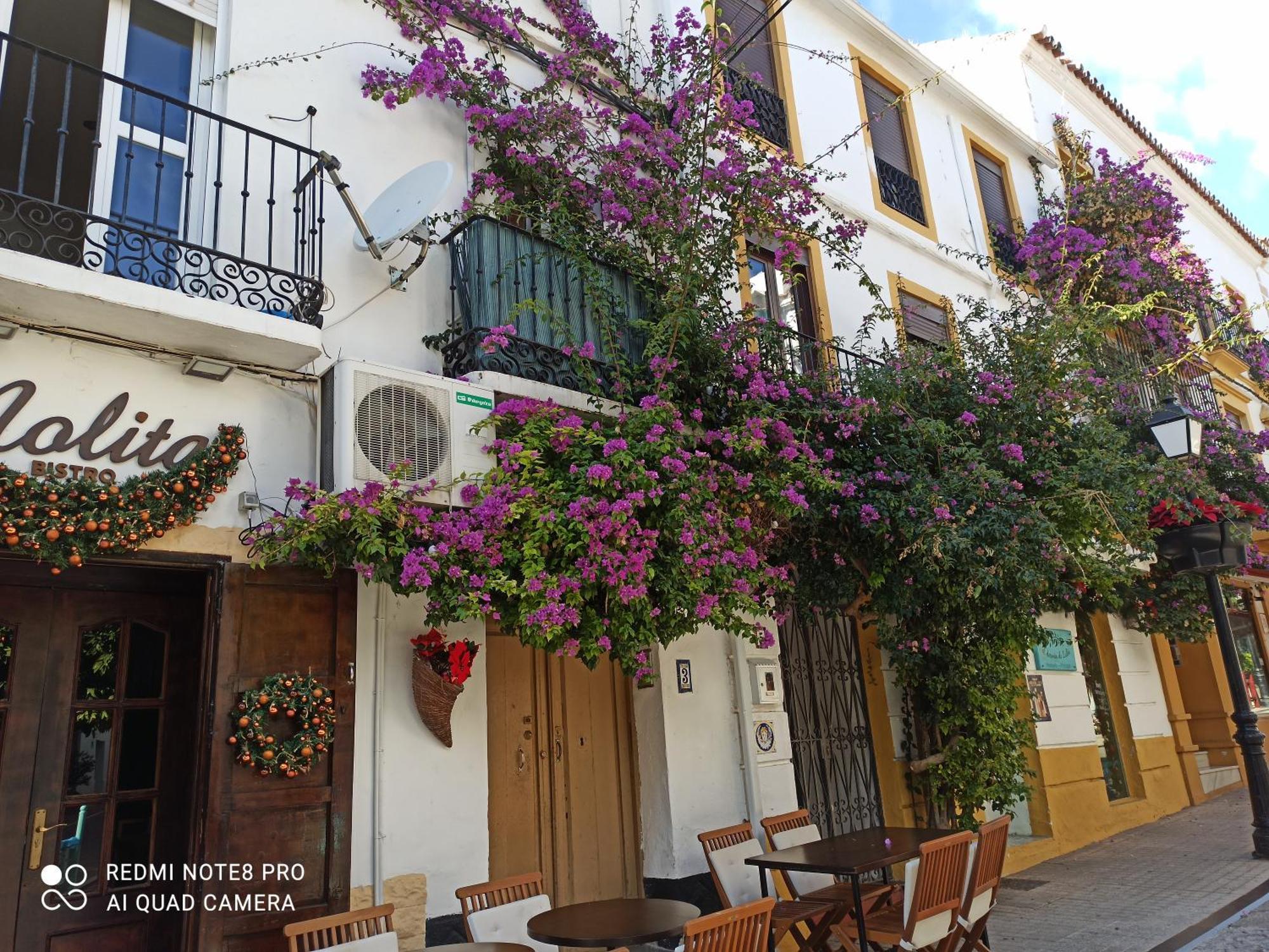 Apartament Bambino Playa Marbella Zewnętrze zdjęcie
